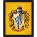 Harry Potter Hufflepuff Framed 3D Picture