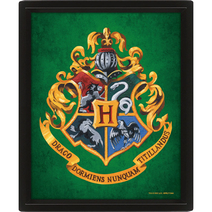 Harry Potter Slytherin Framed 3D Picture