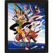 One Piece Framed Assault 3D Picture