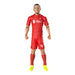 Liverpool FC Van Dijk 20cm Action Figure