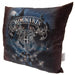 Harry Potter Cushion - Excellent Pick