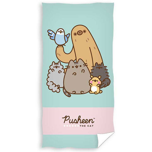 Pusheen Towel - Excellent Pick