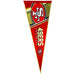 San Francisco 49ers Classic Felt Pennant - Excellent Pick