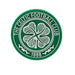 Celtic Fc 3 D Fridge Magnet - Excellent Pick