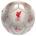 Liverpool FC Football Signature SV - Excellent Pick