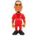 Liverpool FC MINIX Figure 12cm Van Dijk - Excellent Pick