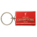 Liverpool FC Premier League Champions Keyring - Excellent Pick