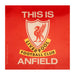 Liverpool FC Single Car Sticker TIA - Excellent Pick