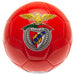 SL Benfica Football - Excellent Pick