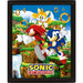 Sonic The Hedgehog Framed 3D Picture - Excellent Pick