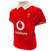 Wales RU Shirt & Short Set 12/18 mths SP - Excellent Pick